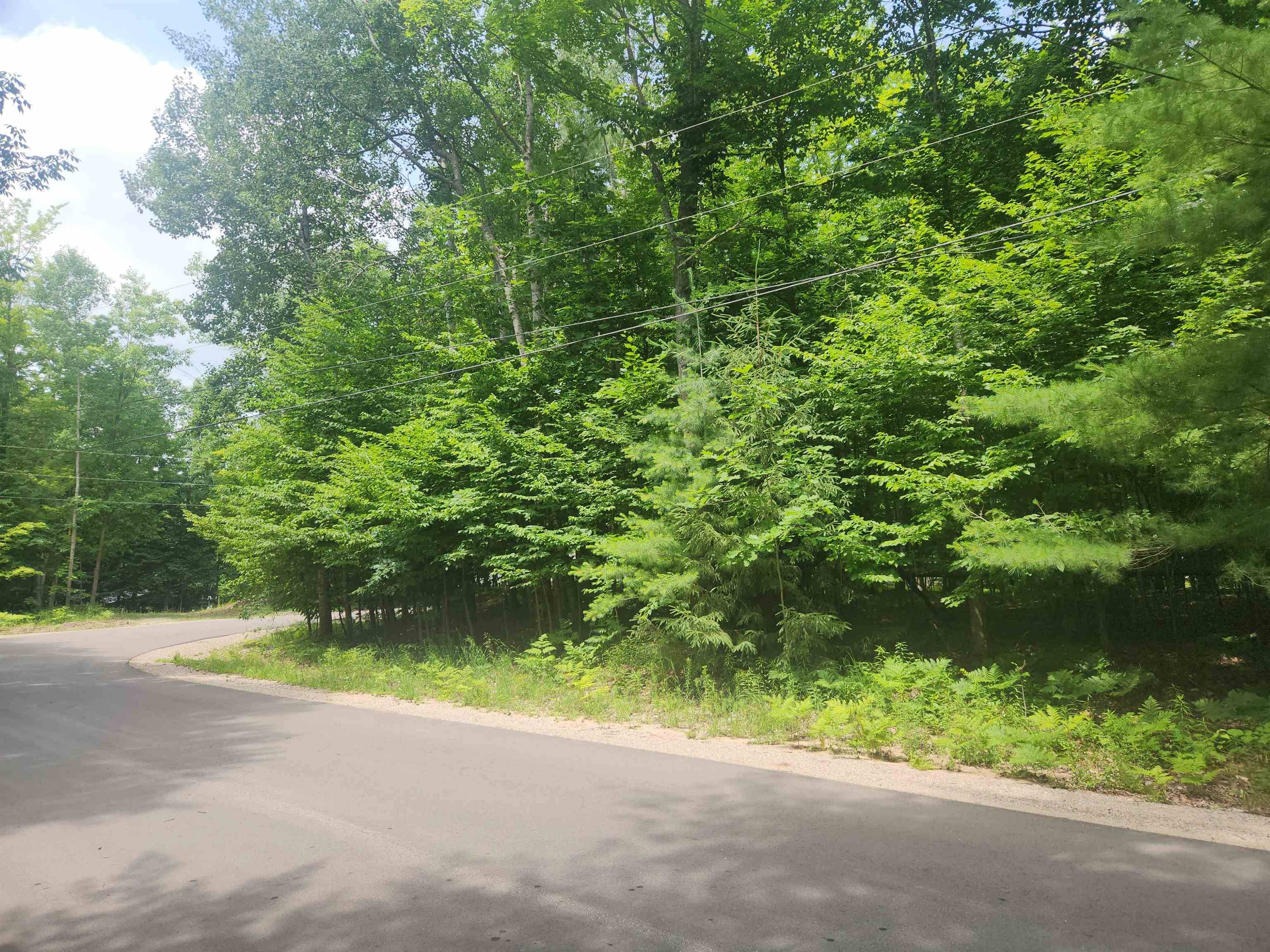 00 Birch View TRL, Almira Twp, MI 49650
