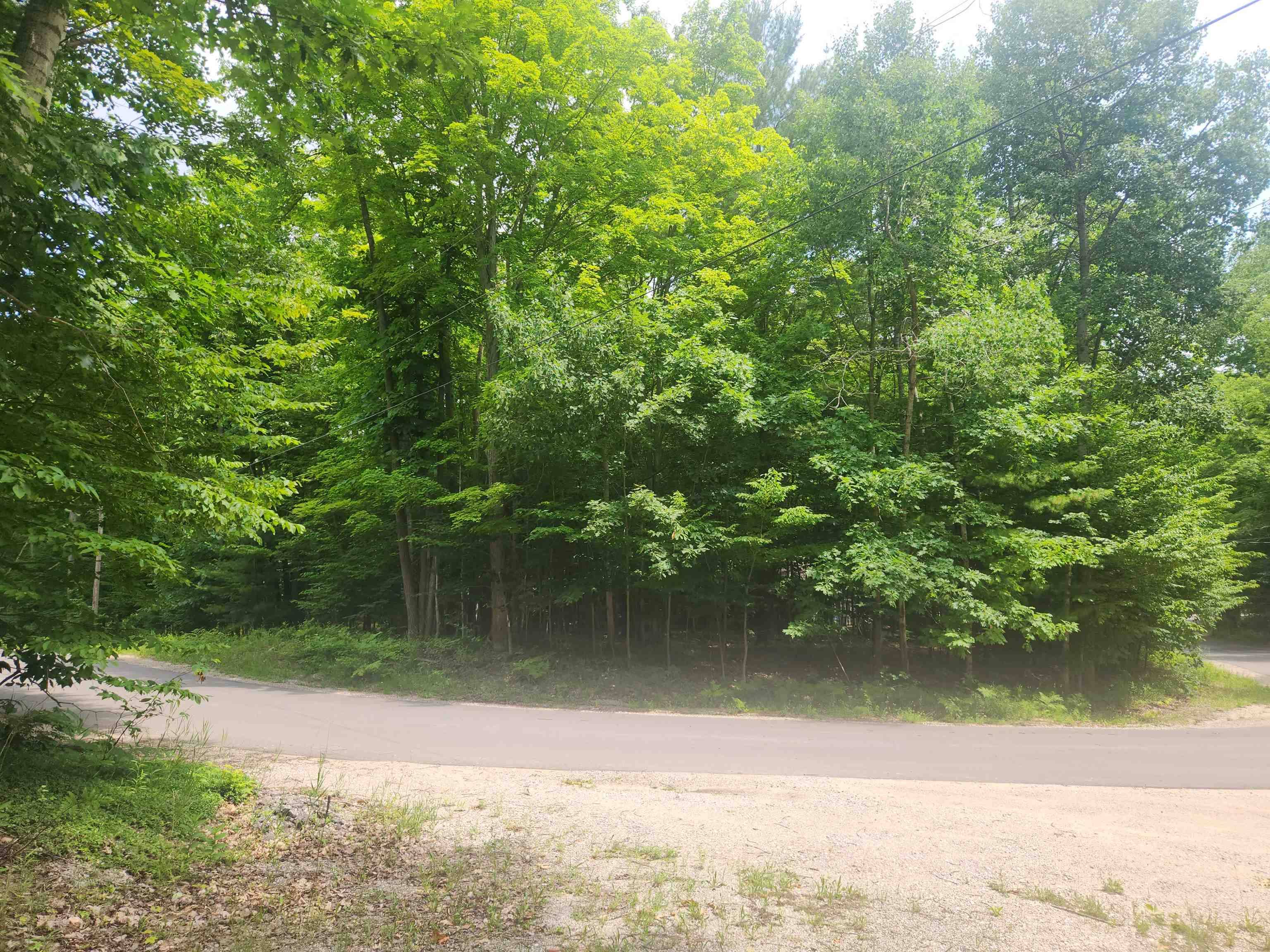 00 Birch View TRL, Almira Twp, MI 49650