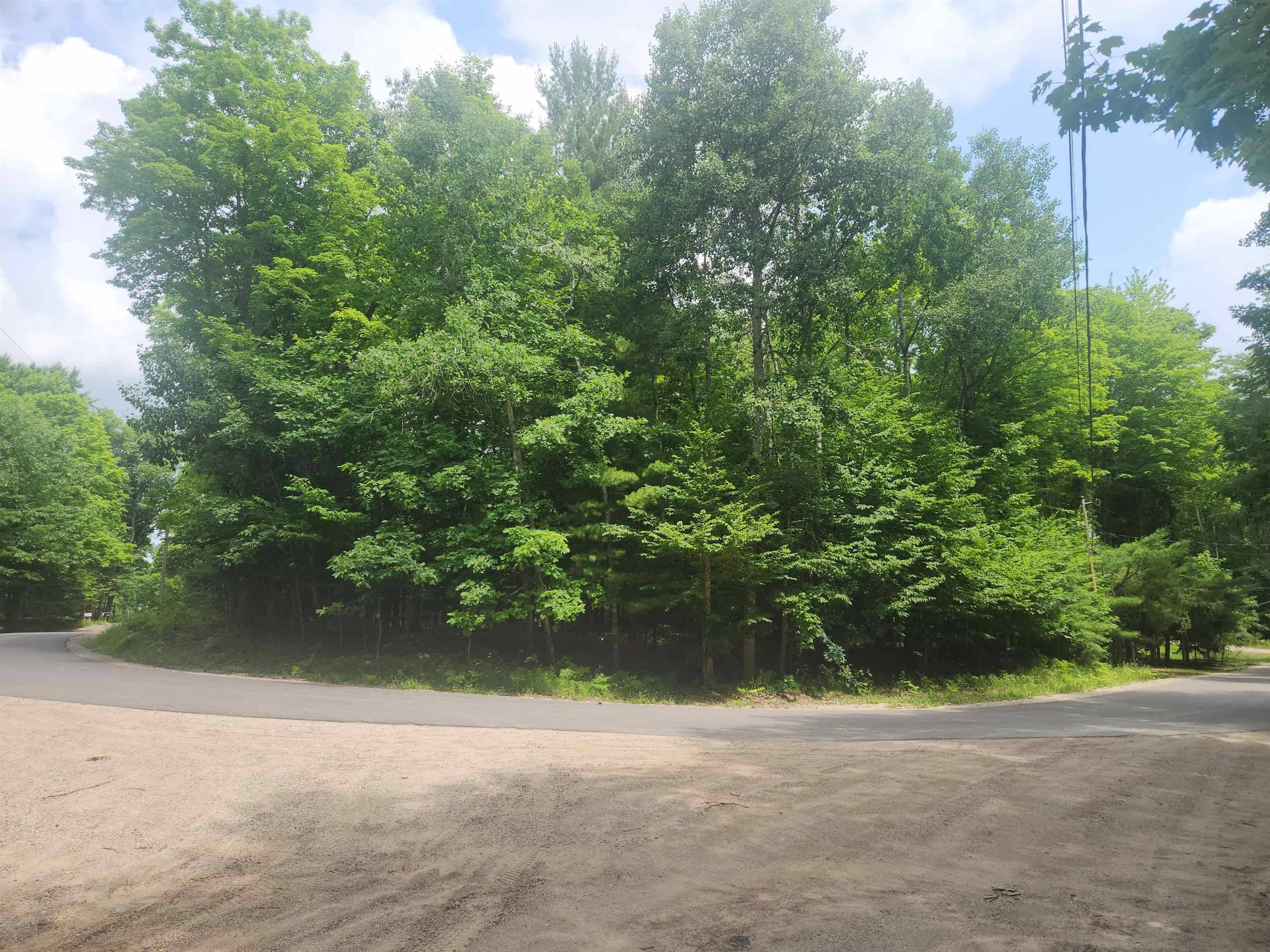 00 Birch View TRL, Almira Twp, MI 49650