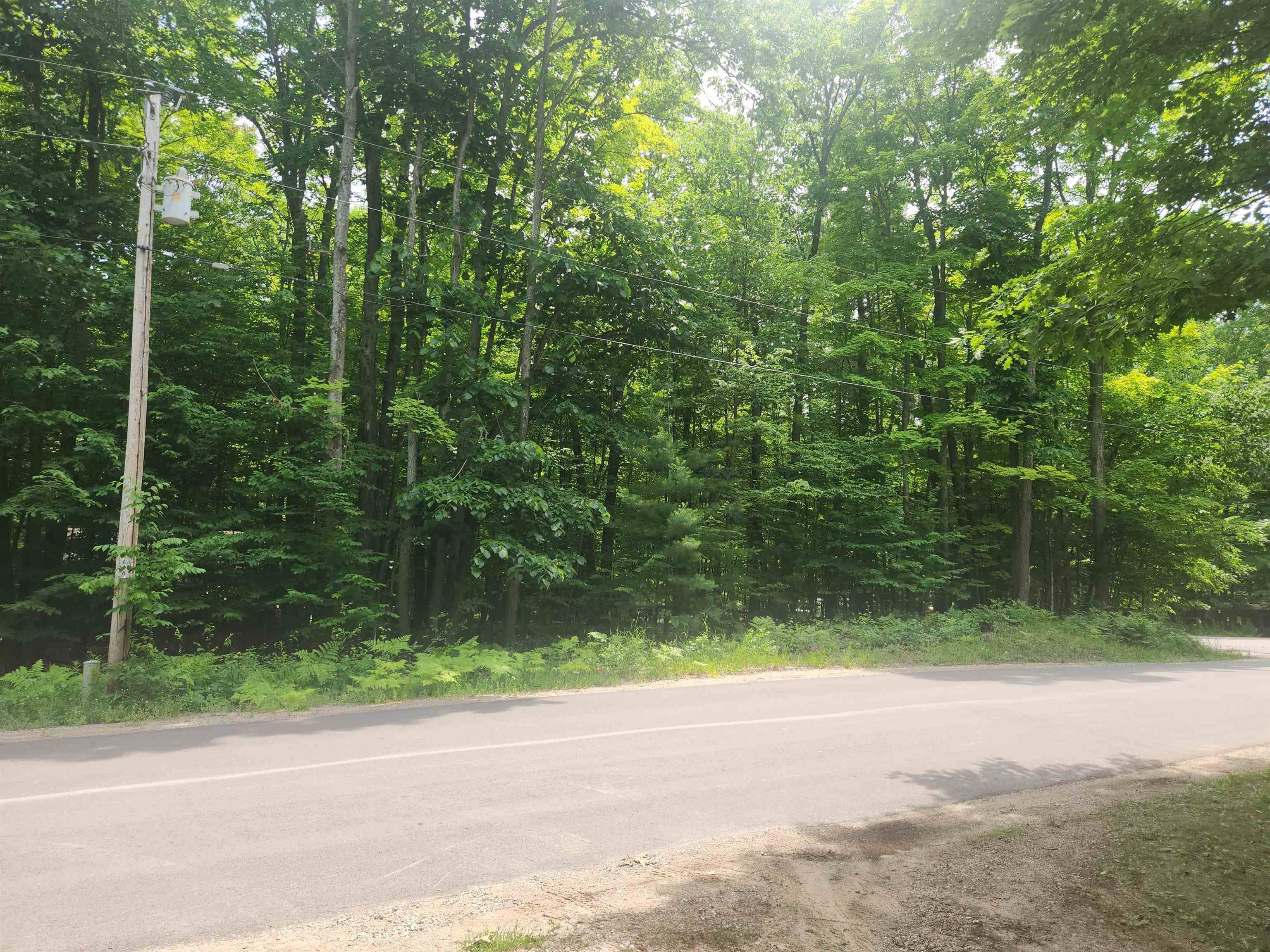 00 Birch View TRL, Almira Twp, MI 49650
