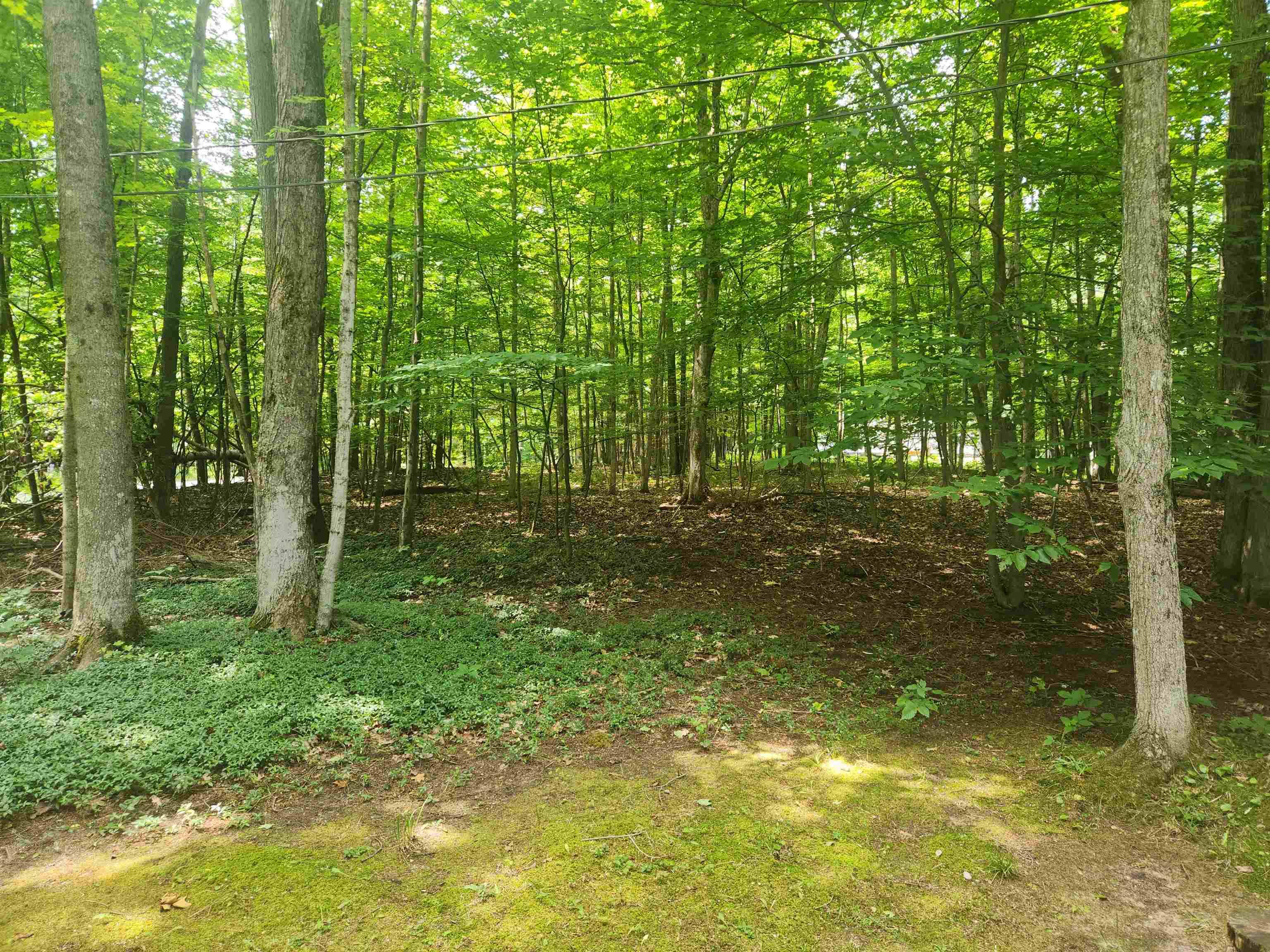 00 Birch View TRL, Almira Twp, MI 49650