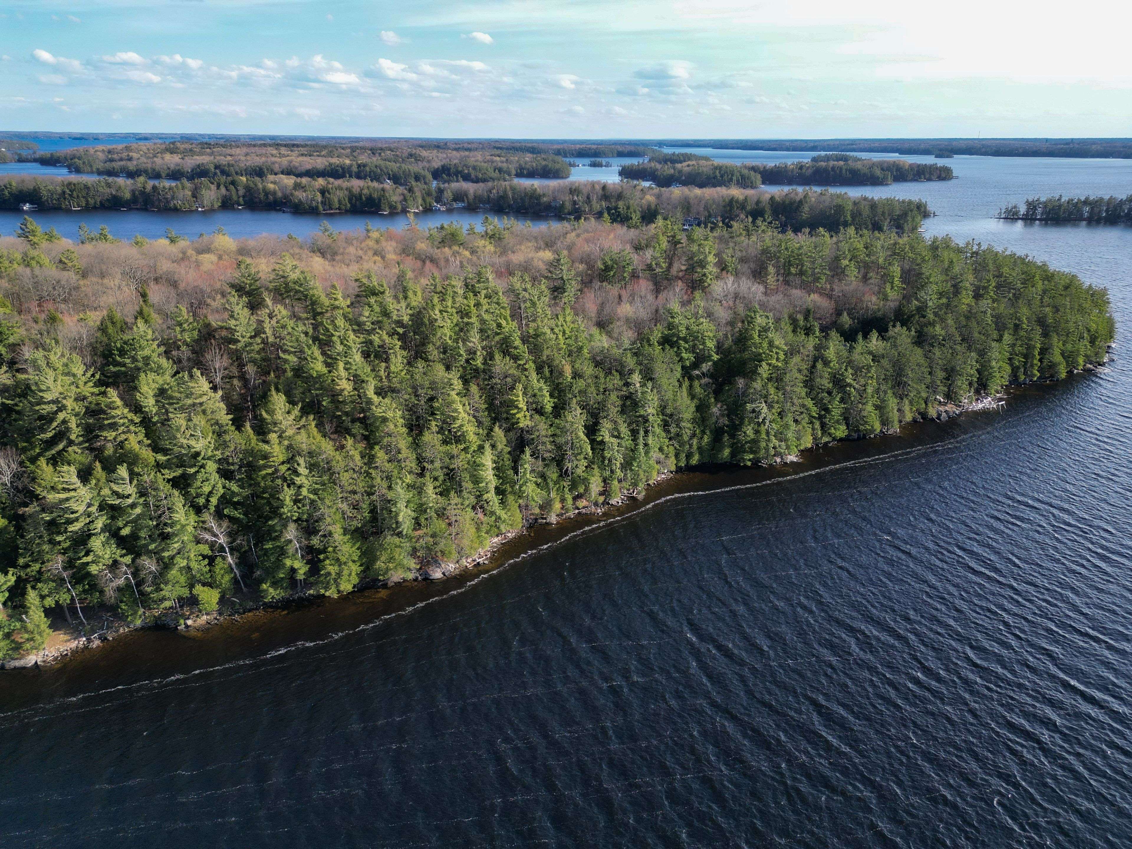 Pine (57 Island M81) IS, Muskoka Lakes, ON P1L 1W8