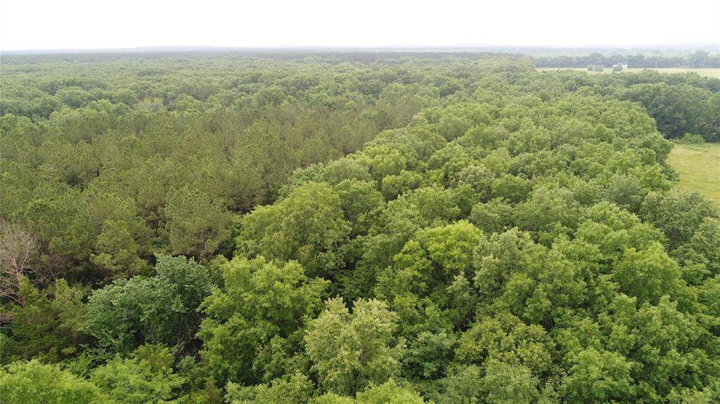 0000 FM 1699, Clarksville, TX 75426