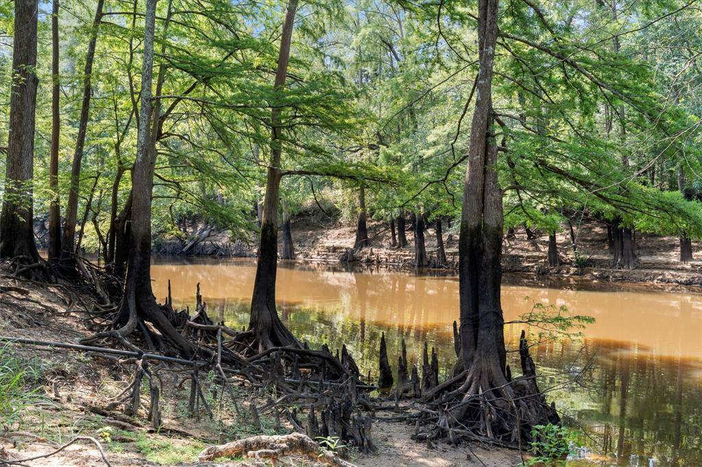 1602 Hwy 49, Jefferson, TX 75657