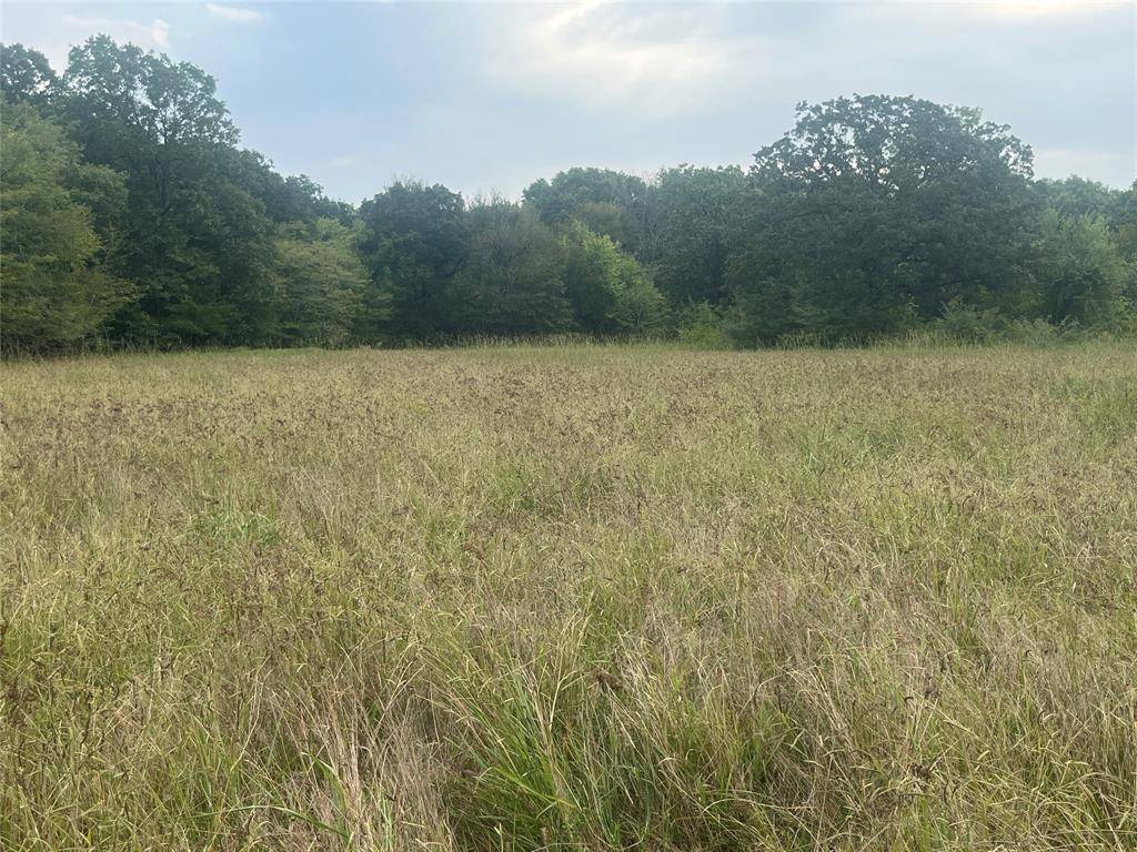 CR 2353 CR 2353, Bagwell, TX 75412