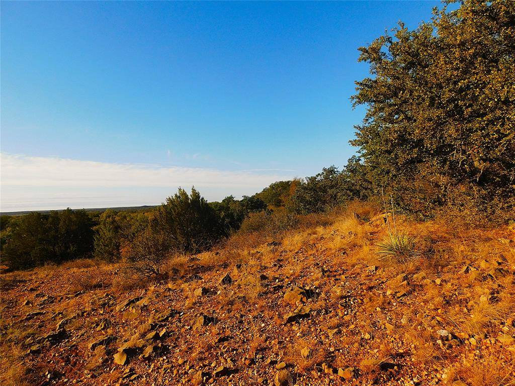 Tract 4 County Road 131, Brownwood, TX 76801