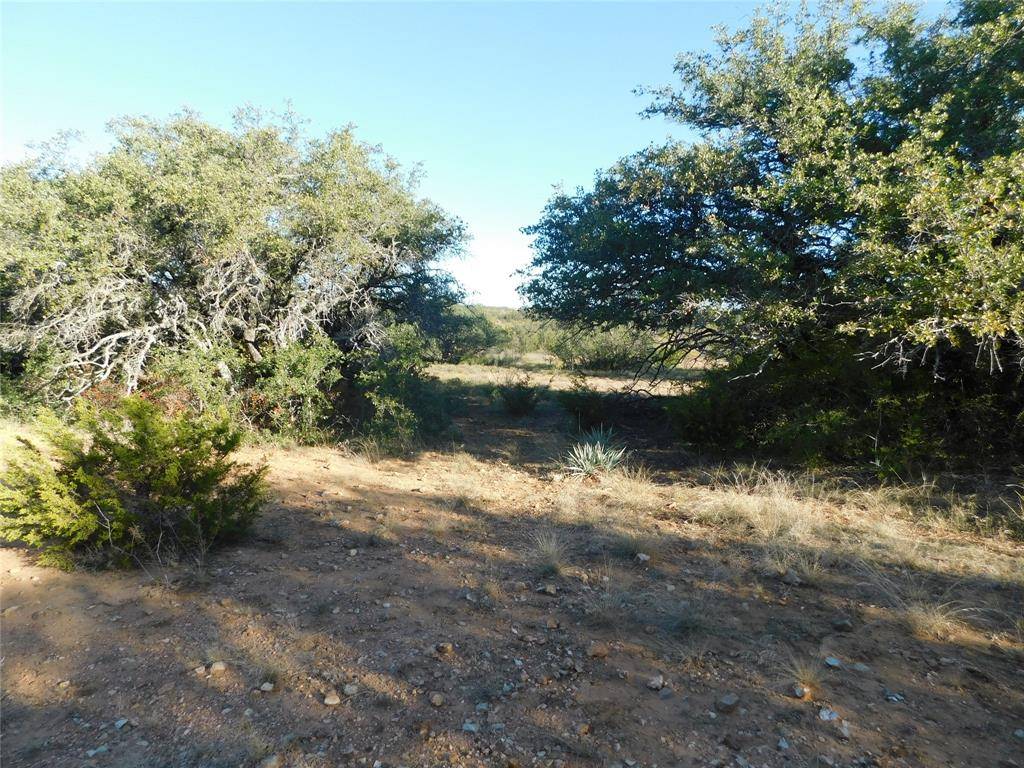 Tract 3 County Road 131, Brownwood, TX 76801