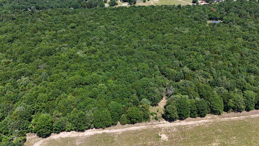 0 County Road #455, Mineola, TX 75773