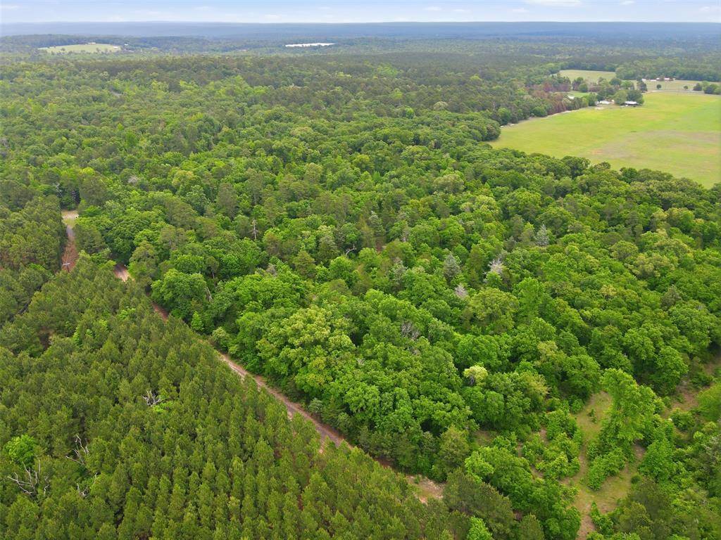 000 Private Rd 7832, Hawkins, TX 75765