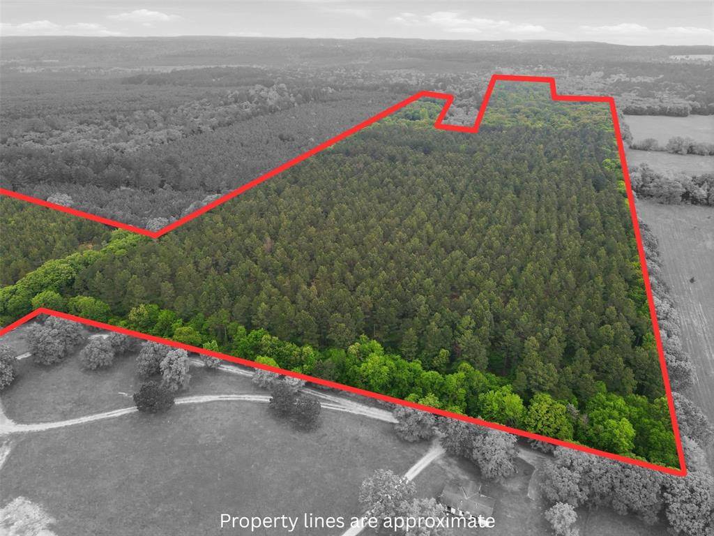 000 County road 3824, Hawkins, TX 75765