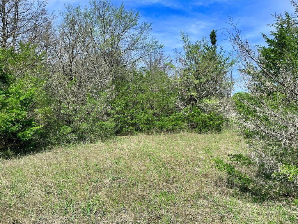 9999 Fm 2645, Ector, TX 75439