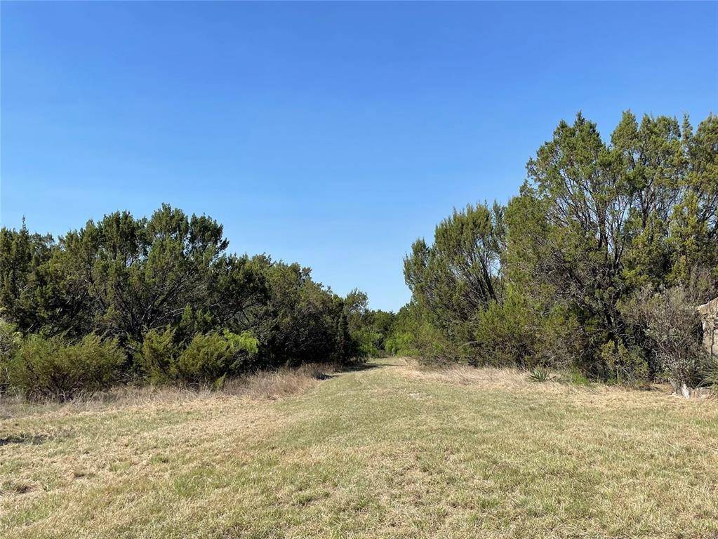 1115 Beacon Lake Drive, Bluff Dale, TX 76433