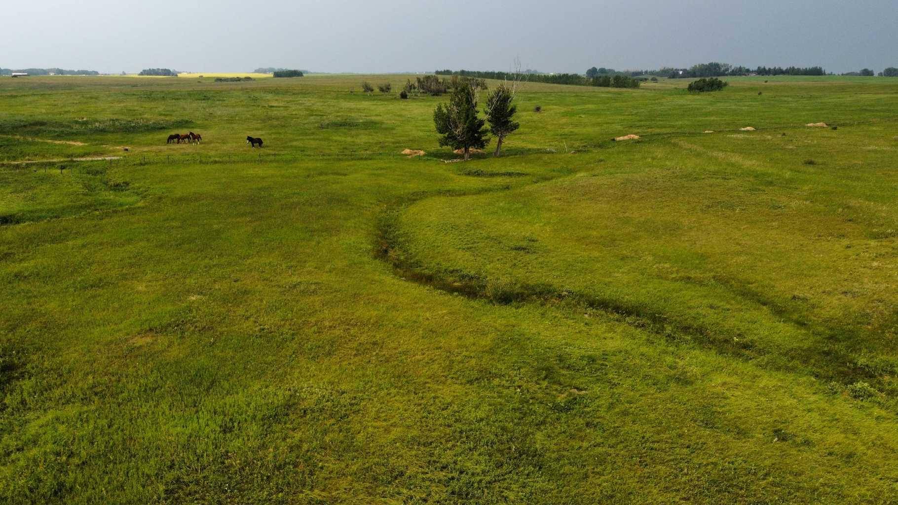 354158 48 ST E, Rural Foothills County, AB T1S 0R3