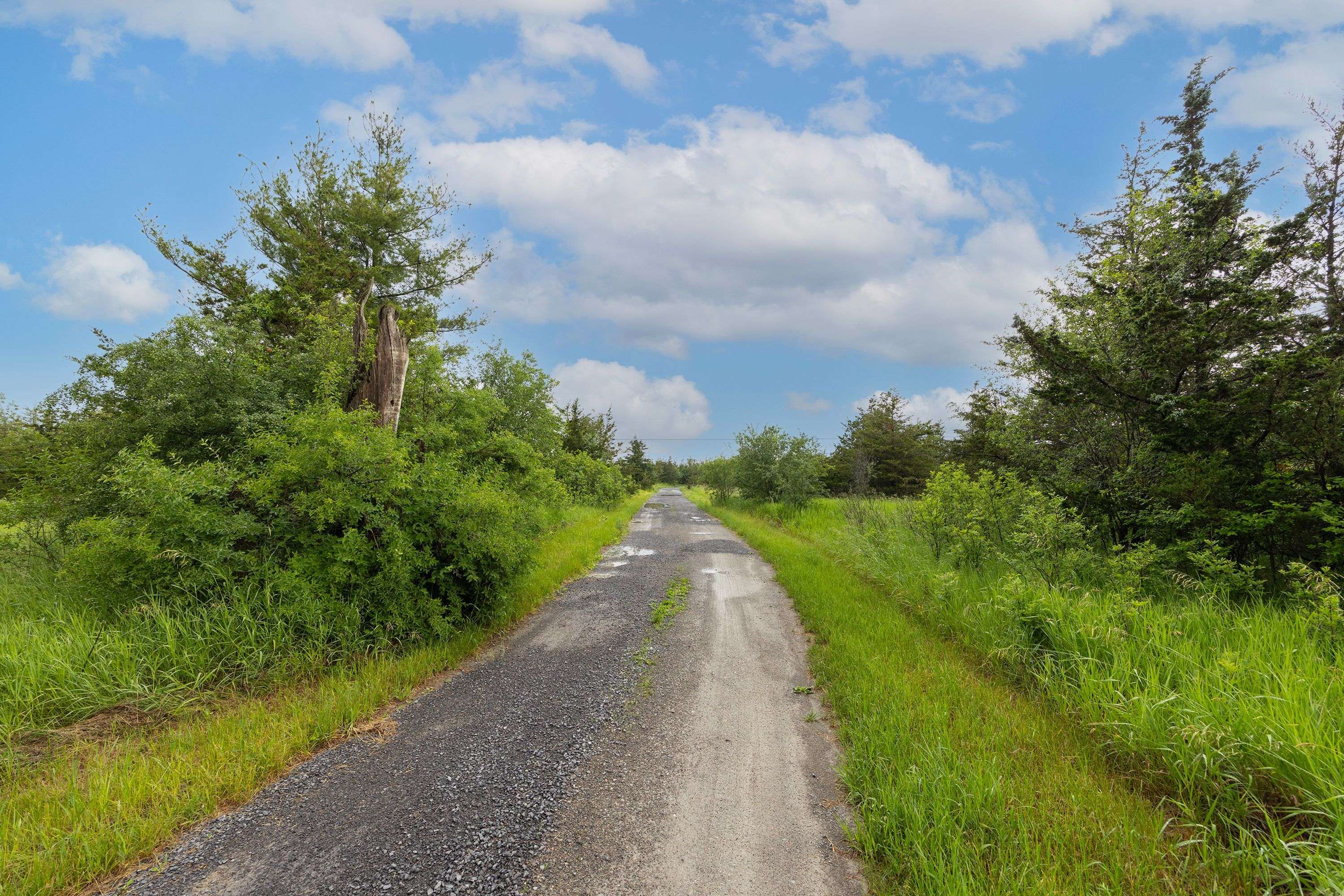697 Hinch RD, Stone Mills, ON K0K 2S0