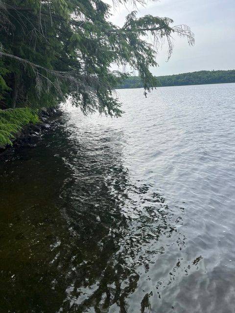 371 Sleepy Hollow RD, Tay Valley, ON K0G 1X0