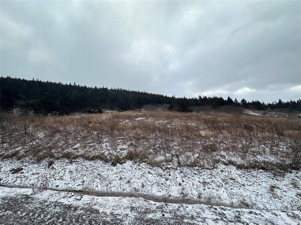 6B Top Road, Branch, NL A0B 1E0
