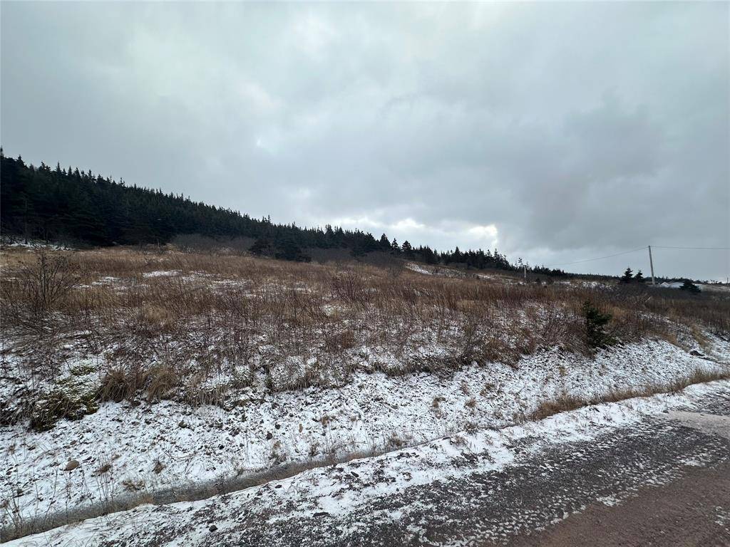 6B Top Road, Branch, NL A0B 1E0
