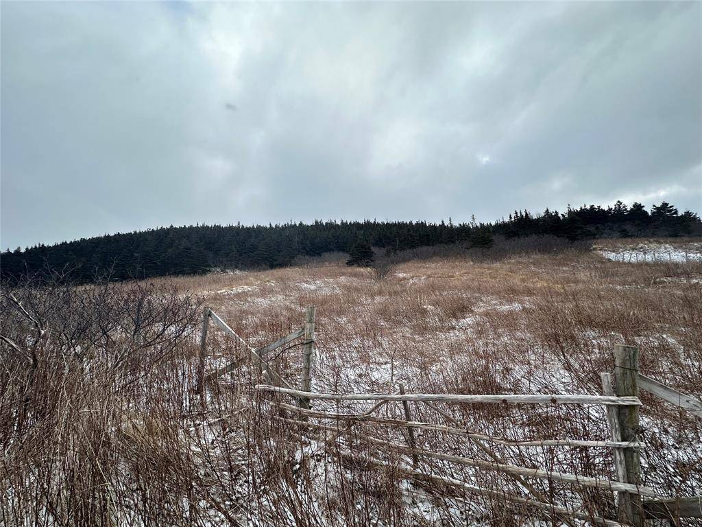 6B Top Road, Branch, NL A0B 1E0
