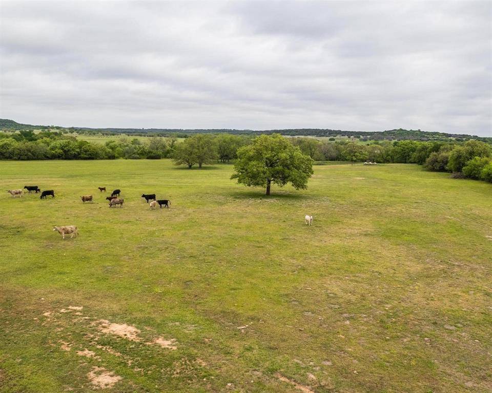 TBD County Road 160, Bluff Dale, TX 76433
