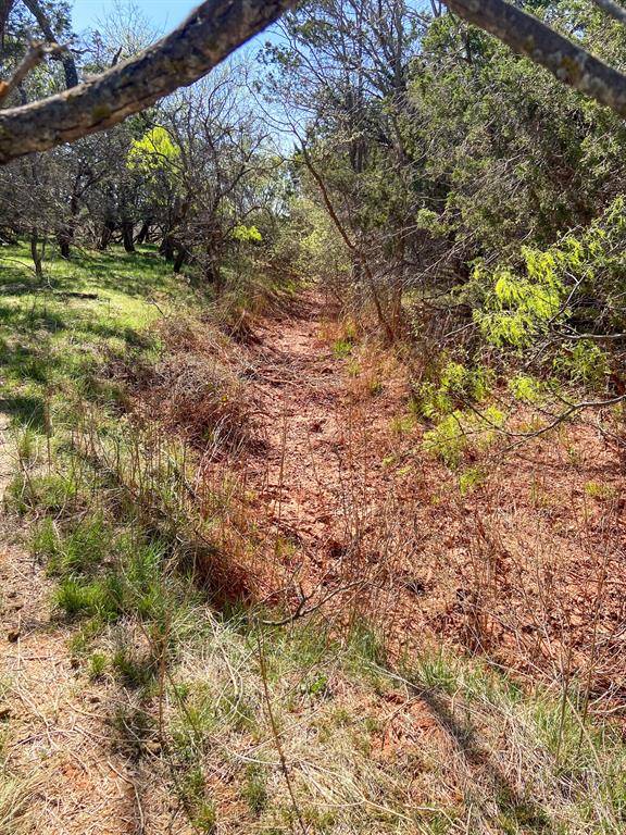 TBD 80 Acres CR 150, Tuscola, TX 79562