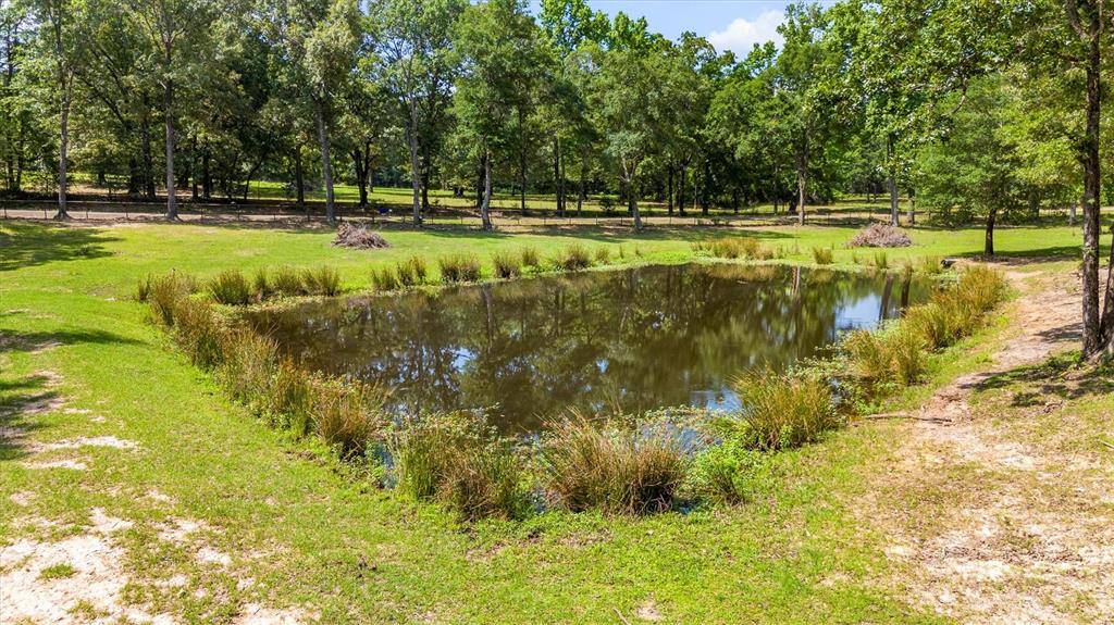 000 VZ County Road 4505, Ben Wheeler, TX 75754