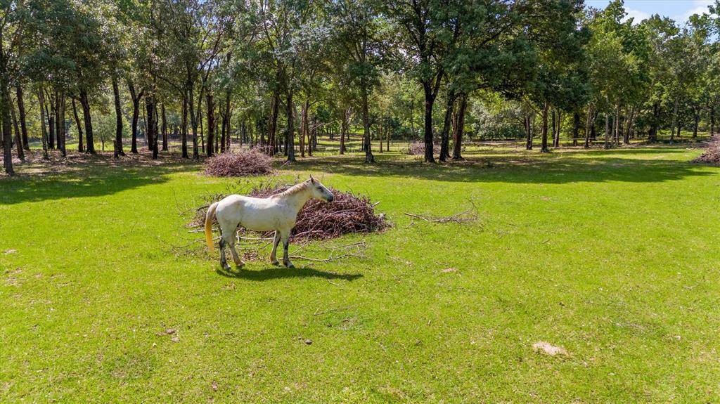 000 VZ County Road 4505, Ben Wheeler, TX 75754