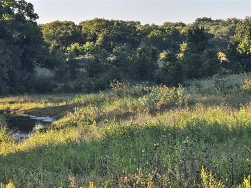 149 Guadalupe Drive, Oglesby, TX 76561