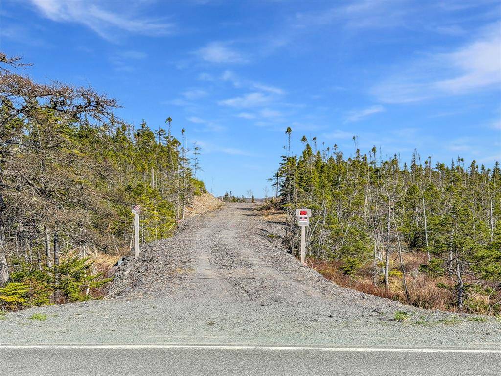 556 Salmonier Line, Salmonier, NL A0A 2R0