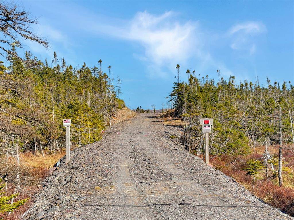 556 Salmonier Line, Salmonier, NL A0A 2R0