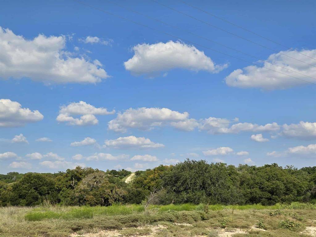 TBD Big Bend Drive, Oglesby, TX 76561
