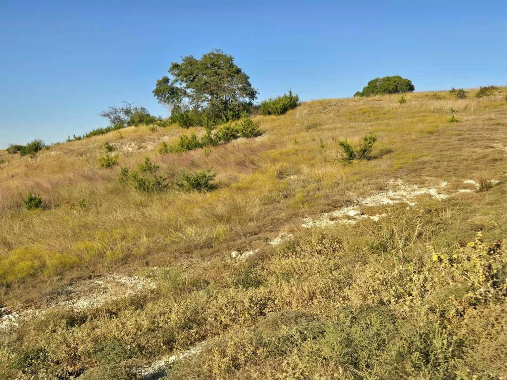 229 Grand Canyon Drive, Oglesby, TX 76561