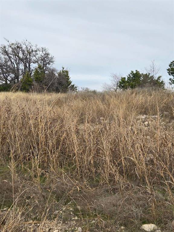 134 Yellowstone Drive, Oglesby, TX 76561