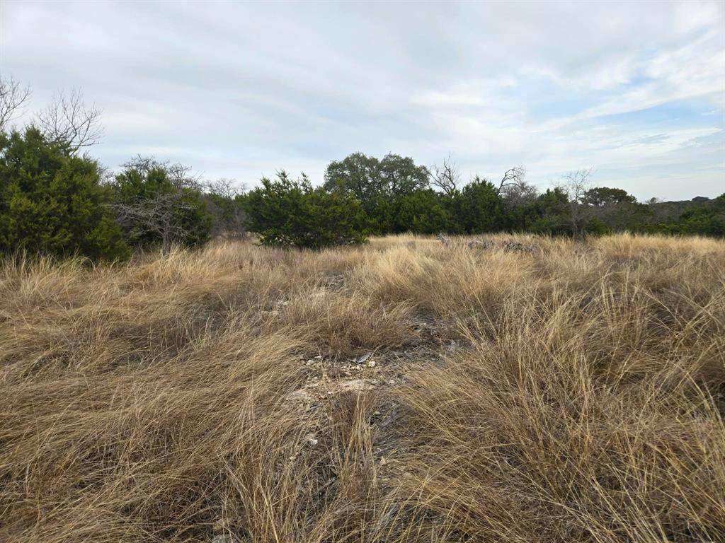 134 Yellowstone Drive, Oglesby, TX 76561