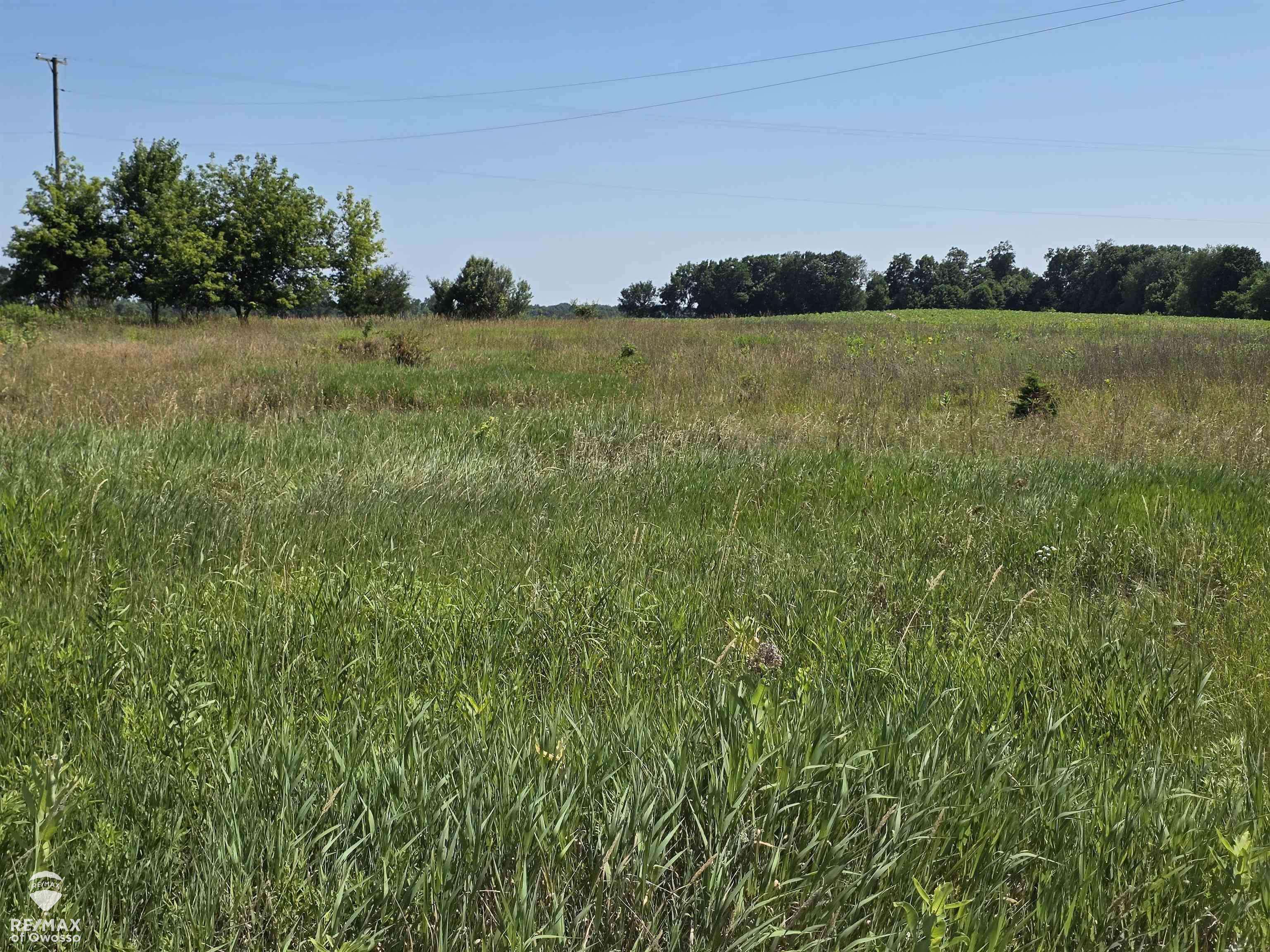 Garrison RD, Bennington Twp, MI 48848