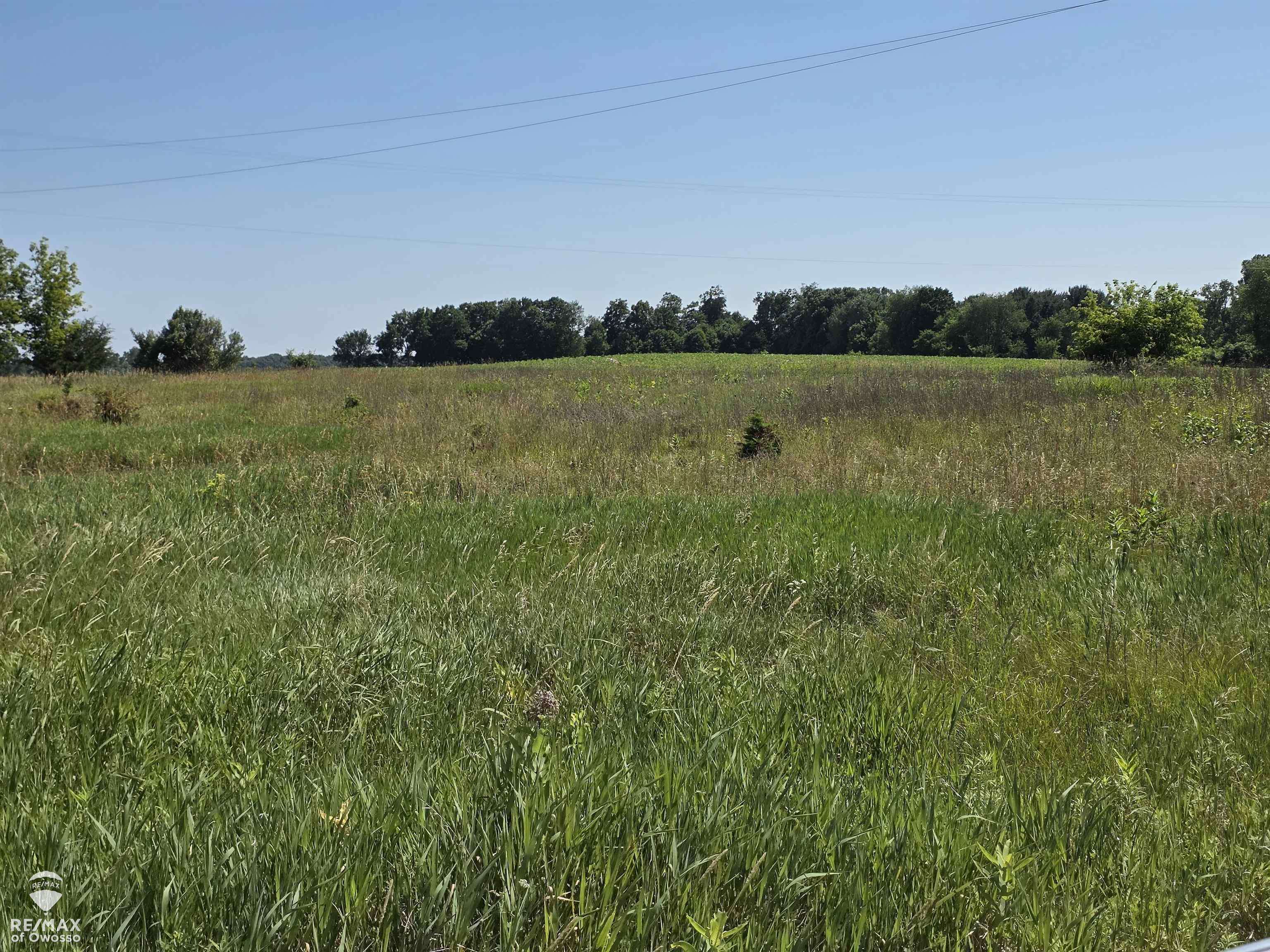 Garrison RD, Bennington Twp, MI 48848