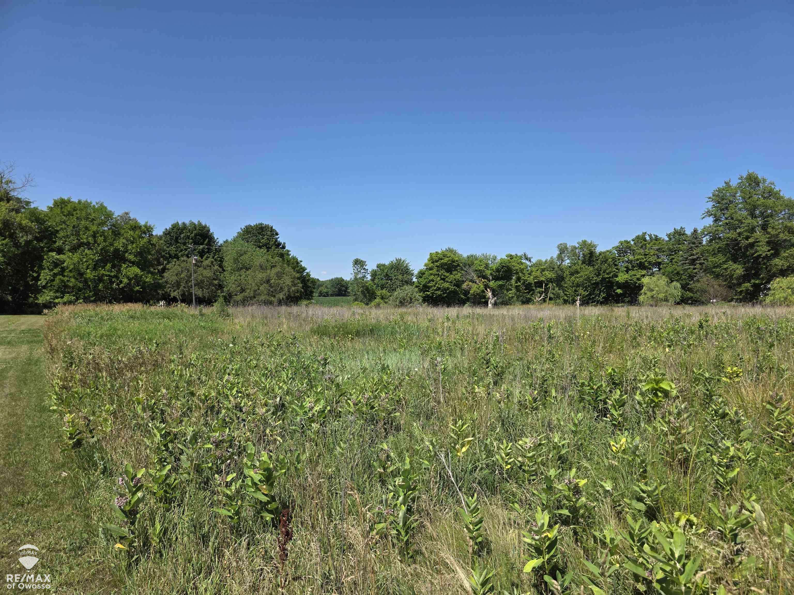 Garrison RD, Bennington Twp, MI 48848