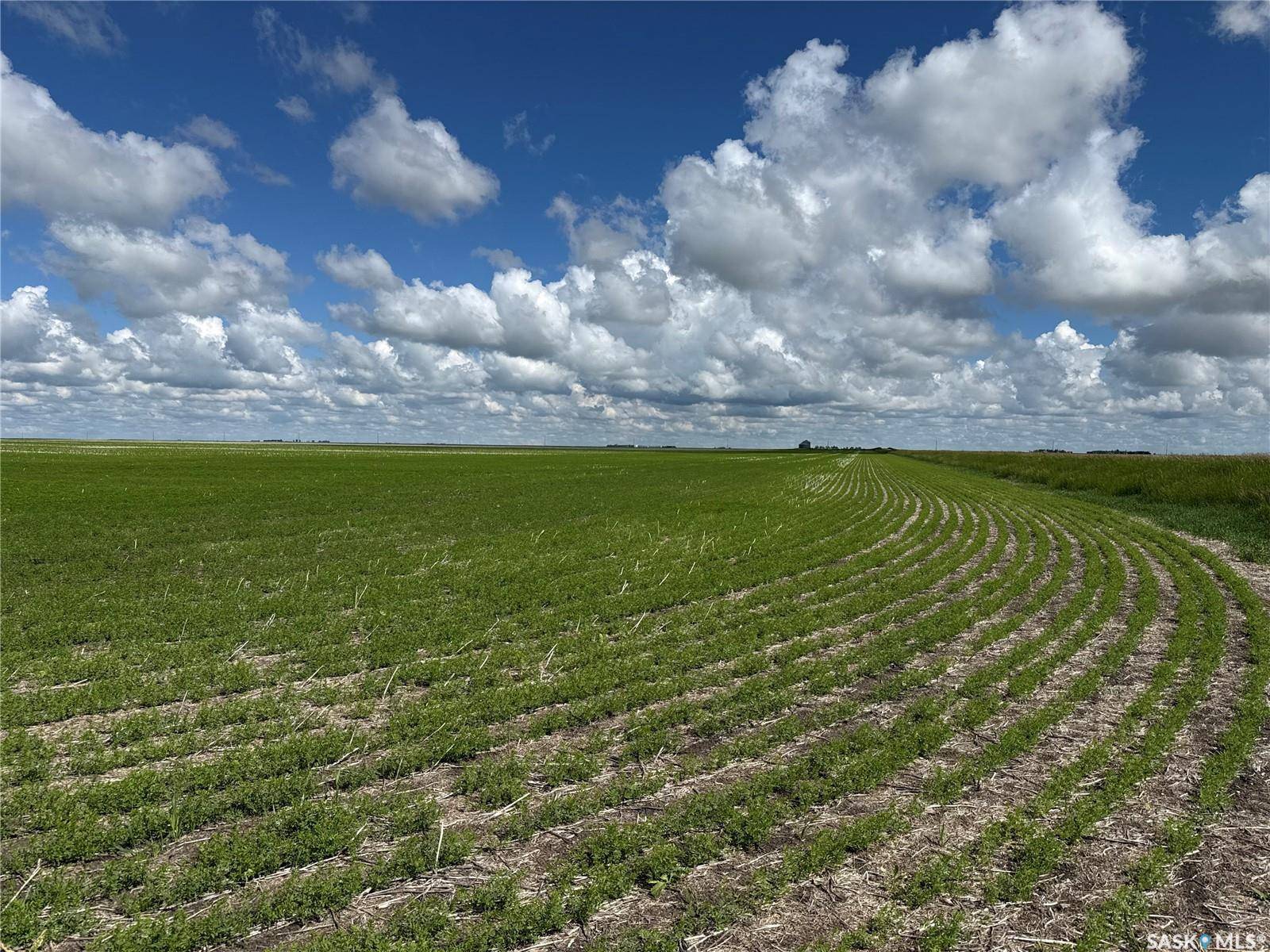 Rural Address, Bratt's Lake Rm No. 129, SK S0G 5E0