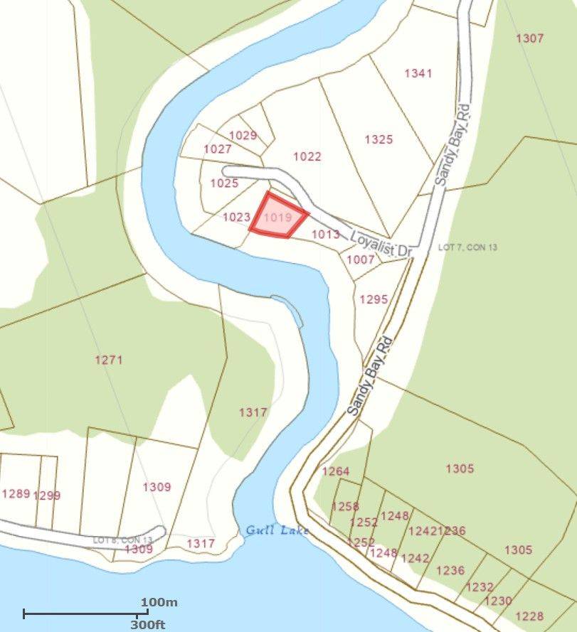 1019 Loyalist DR, Minden Hills, ON K0M 2K0