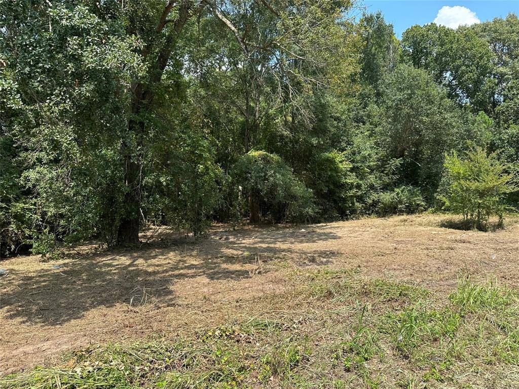 TBD Sandbog, Athens, TX 75751