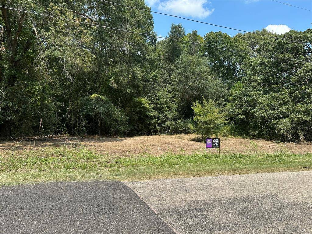 TBD Sandbog, Athens, TX 75751