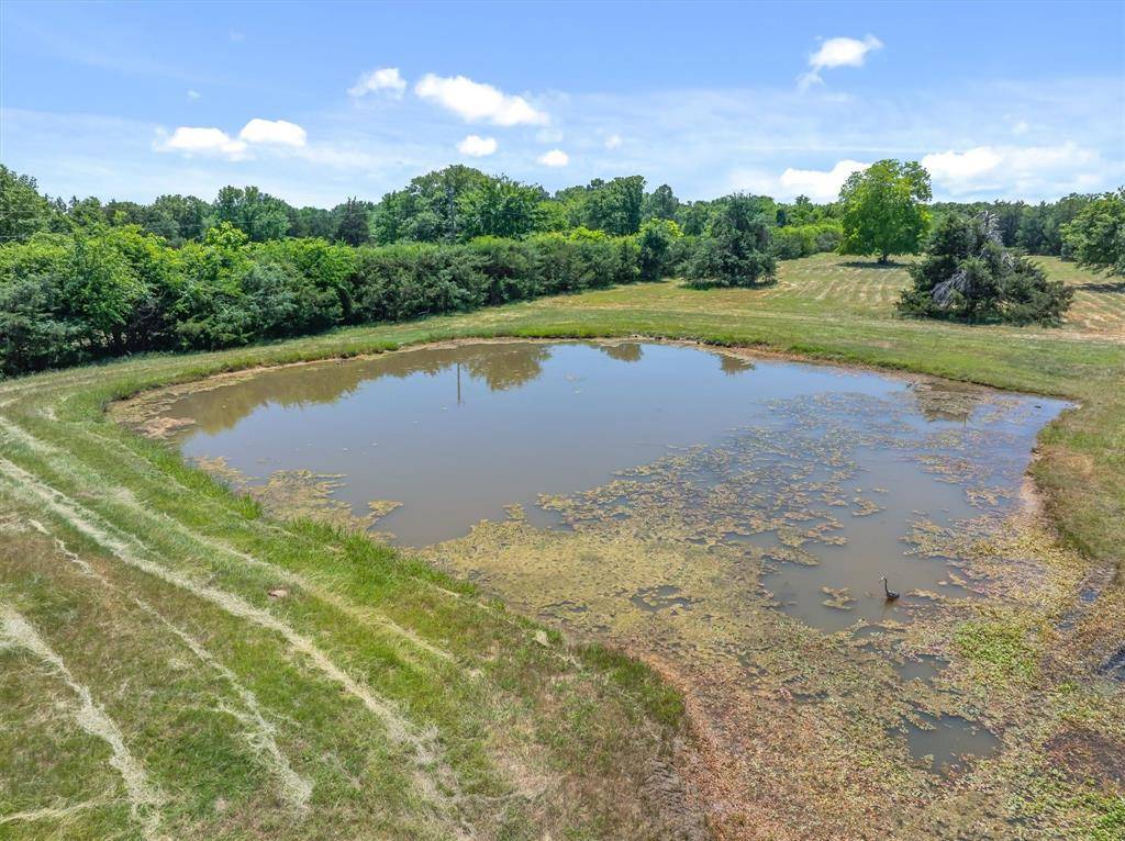 6663 CLEARWATER RANCH Road, Wills Point, TX 75169