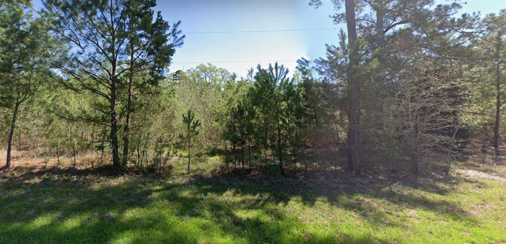 4890 Fm 19, Palestine, TX 75803