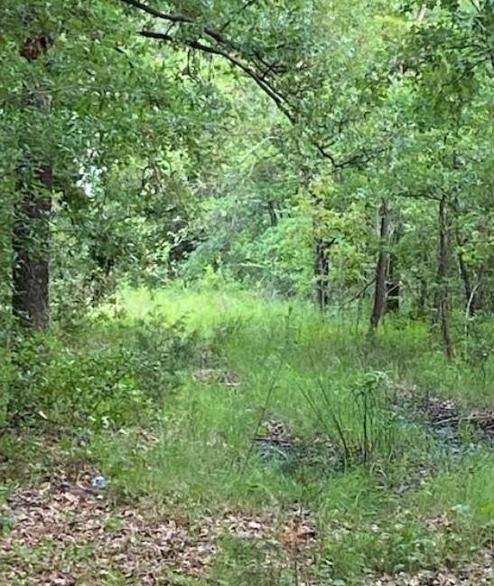 0 Hwy 175, Mabank, TX 75147