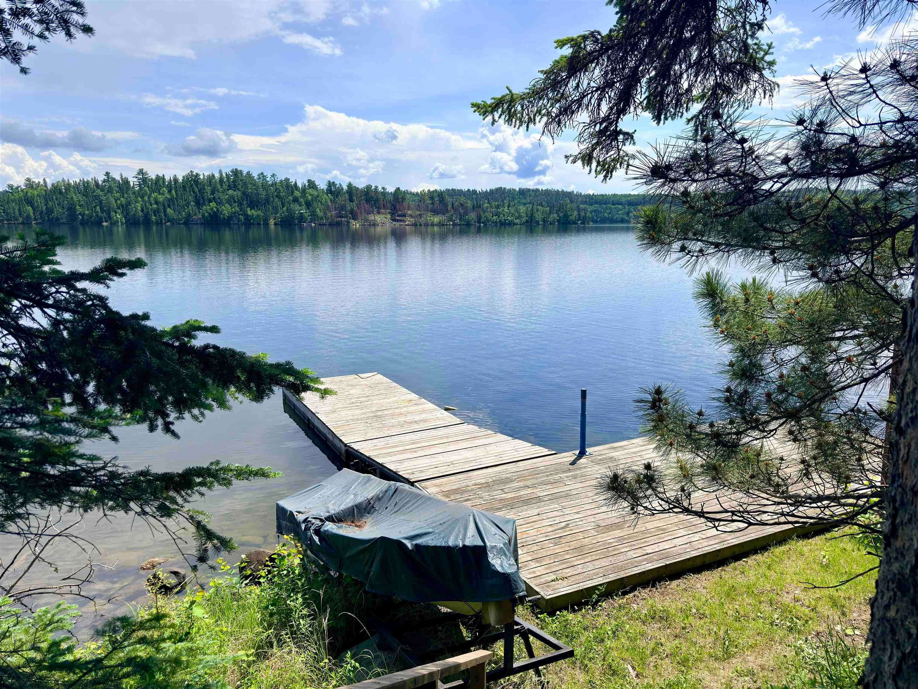 Lot 21,22 Price RD, Kenora Remote Area, ON P0X 1C0