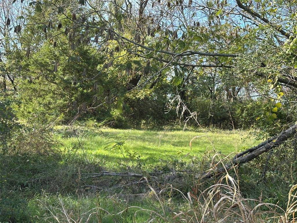 731 NW 1st Street, Cooper, TX 75432