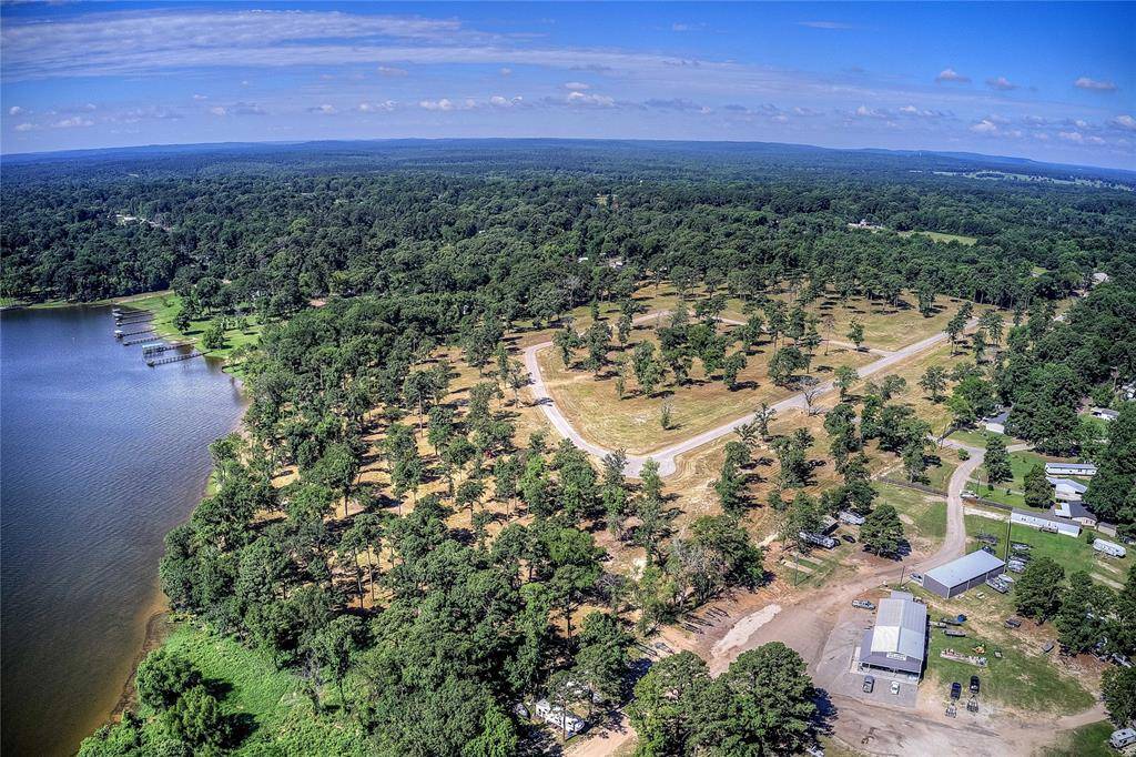 20609 Wycliff Drive, Chandler, TX 75758