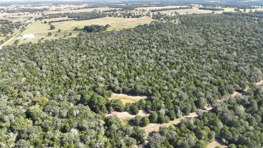 000 Easley, Smithville, TX 78957
