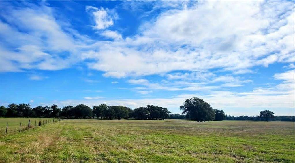 TBD County Road 269, Kosse, TX 76653