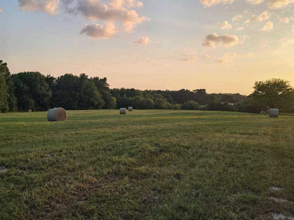 20086 County Road 299, Arp, TX 75750
