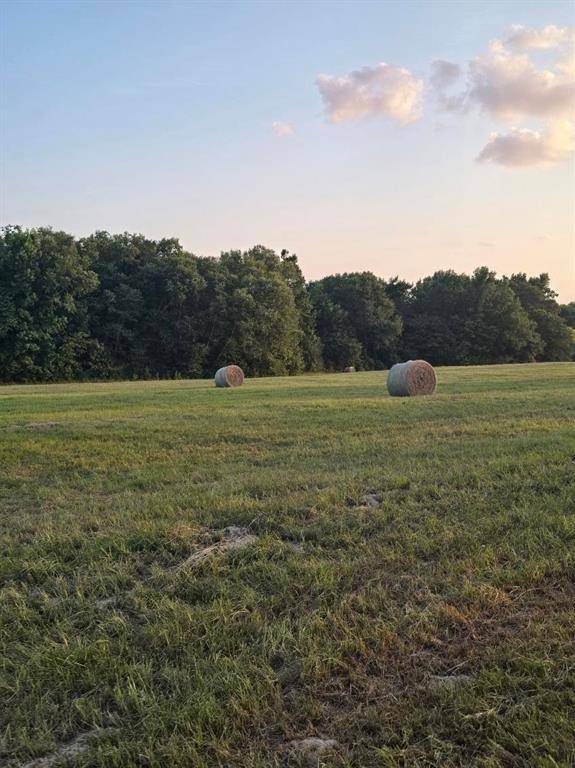 20086 County Road 299, Arp, TX 75750